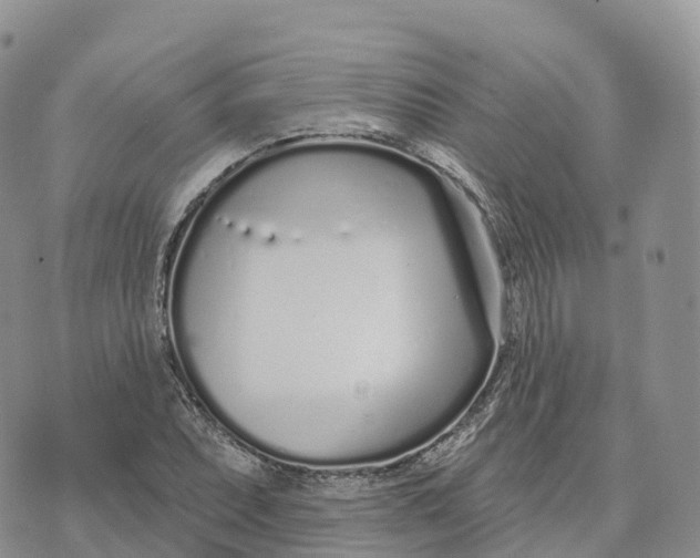 X0000072941071200608111554