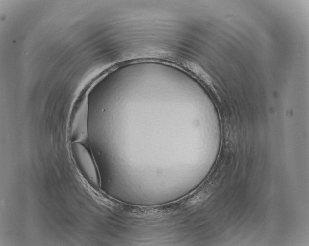 X0000072941072200608111554