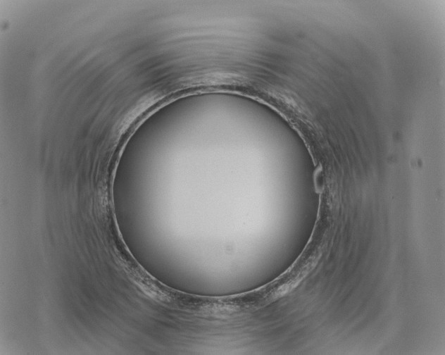 X0000072941073200608111554