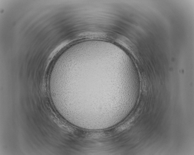 X0000072941074200608111554