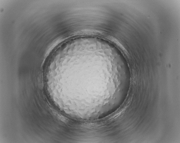 X0000072941075200608111554