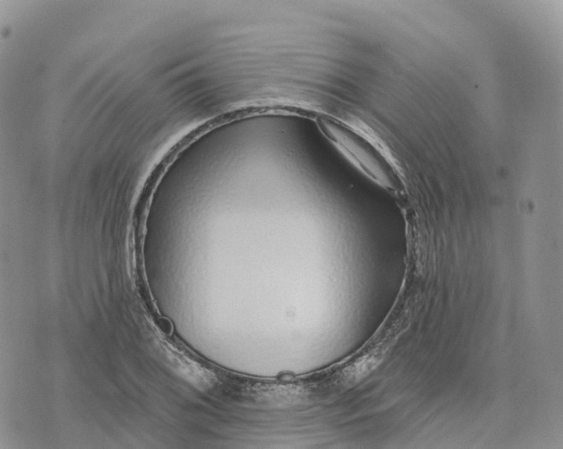 X0000072941076200608111554