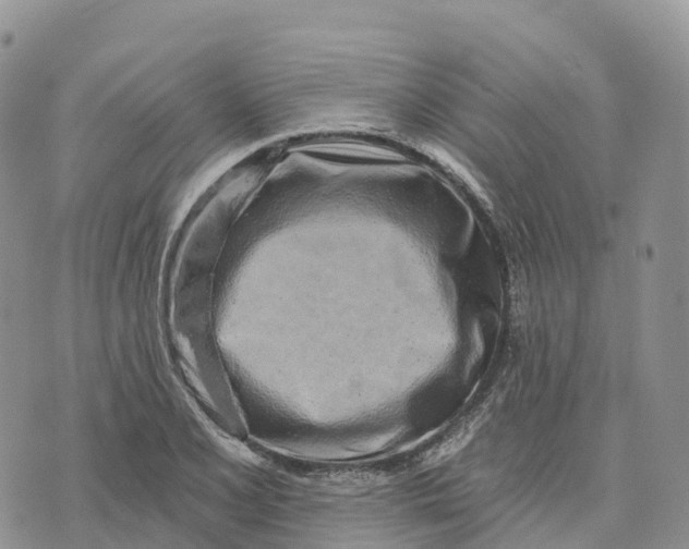 X0000072941077200608111554