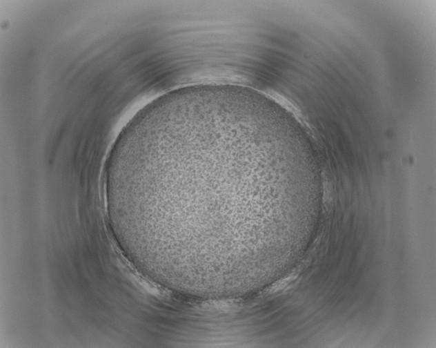 X0000072941078200608111554