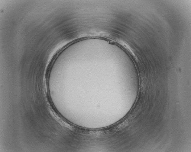 X0000072941080200608111554