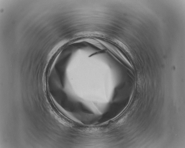 X0000072941082200608111554