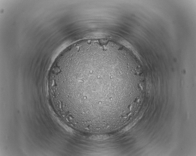 X0000072941083200608111554