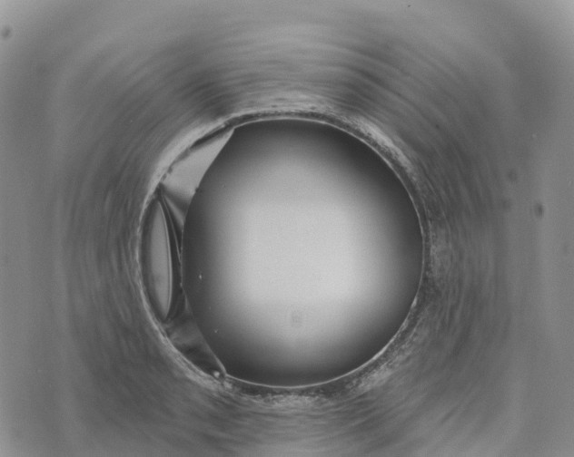 X0000072941085200608111554