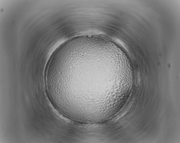 X0000072941087200608111554