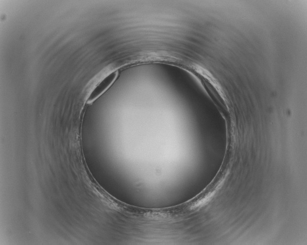 X0000072941089200608111554