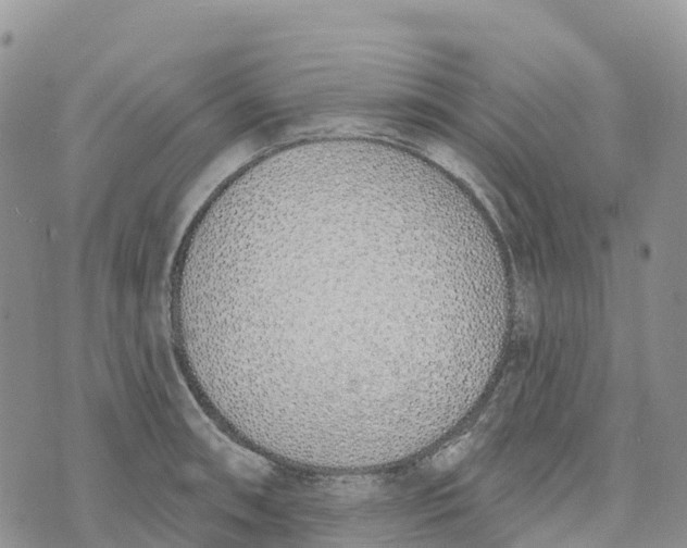 X0000072941090200608111554