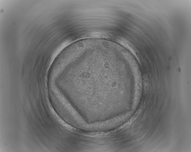 X0000072941091200608111554