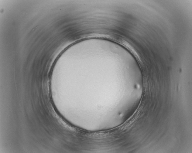 X0000072941092200608111554