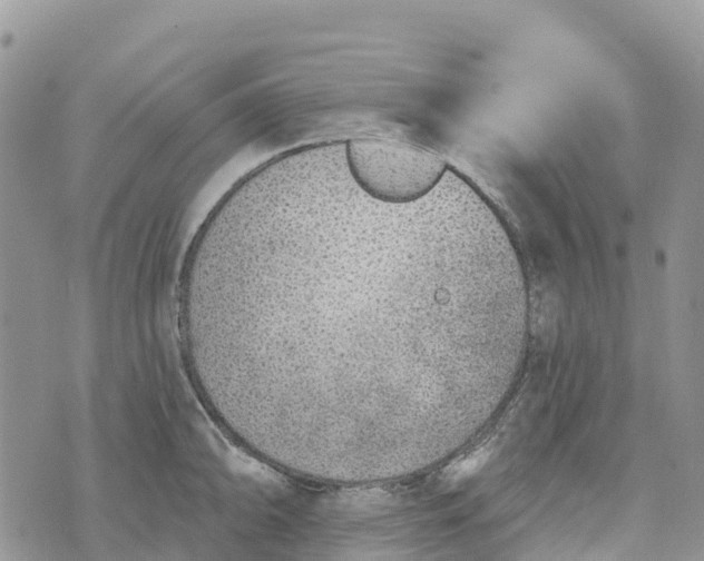 X0000072941094200608111554