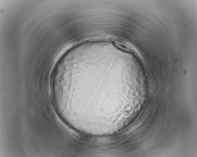 X0000072941095200608111554