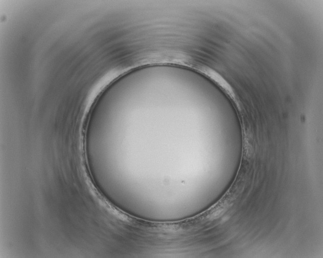 X0000072941096200608111554