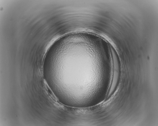 X0000072941097200608111554