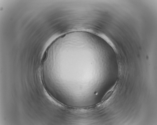 X0000072941100200608111554