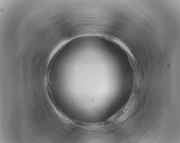 X0000072941101200608111554