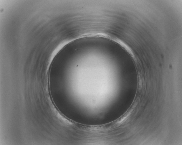 X0000072941102200608111554