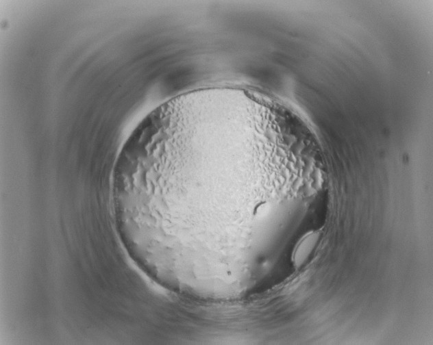 X0000072941103200608111554