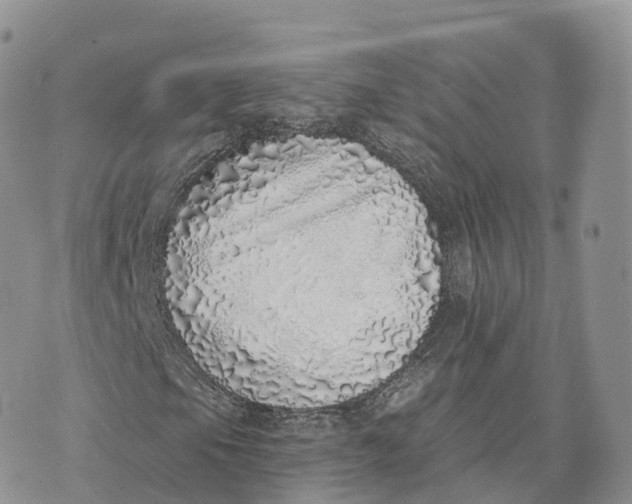 X0000072941105200608111553