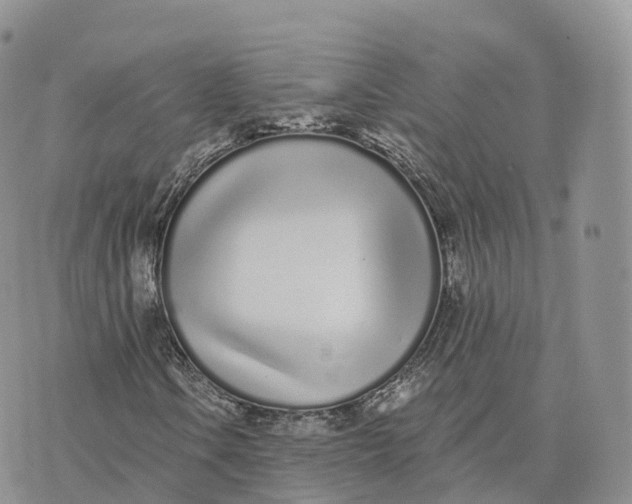 X0000072941106200608111553