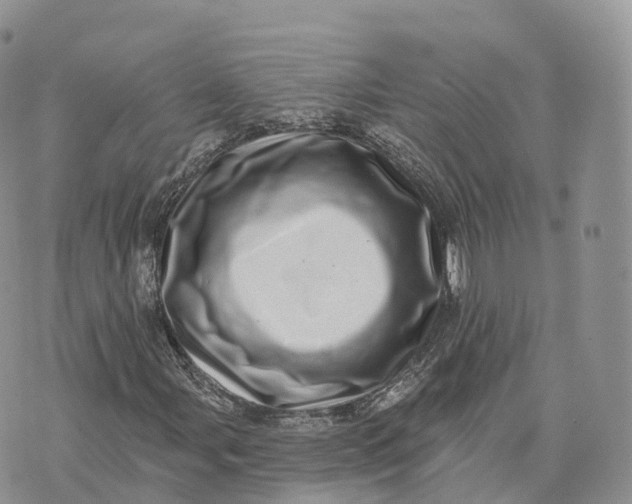 X0000072941107200608111553