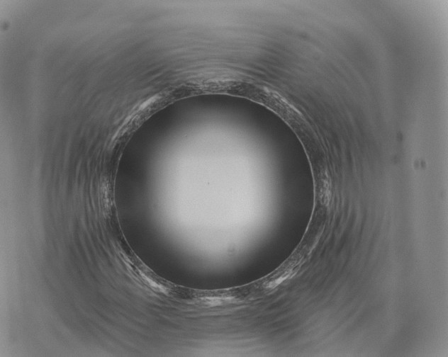 X0000072941108200608111553