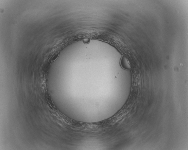 X0000072941109200608111553