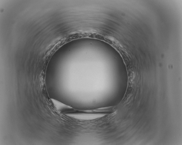 X0000072941110200608111553