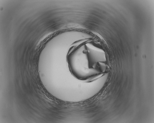 X0000072941112200608111553