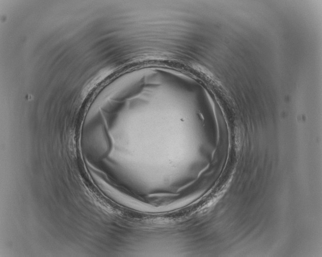 X0000072941113200608111553