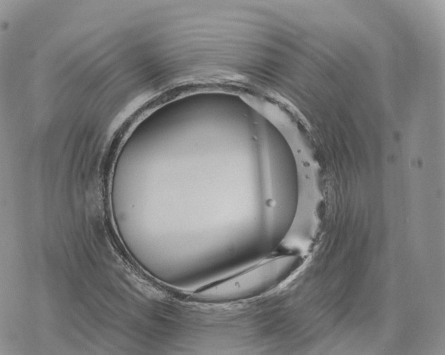 X0000072941114200608111553