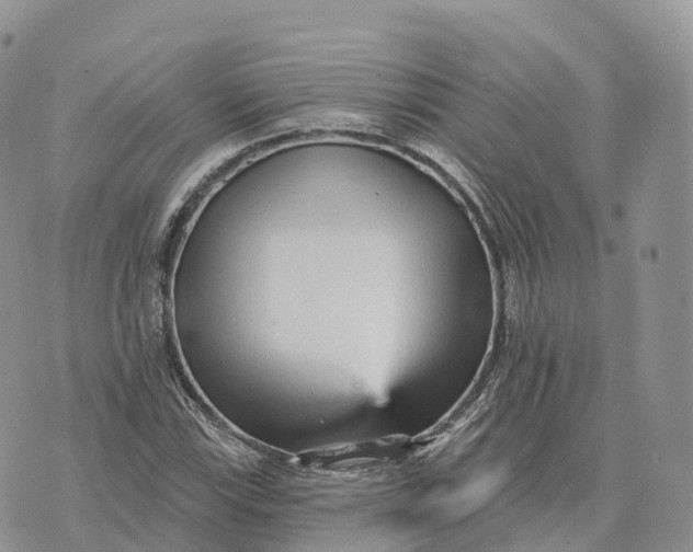 X0000072941115200608111553