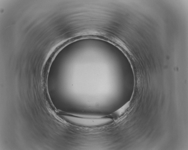 X0000072941116200608111553