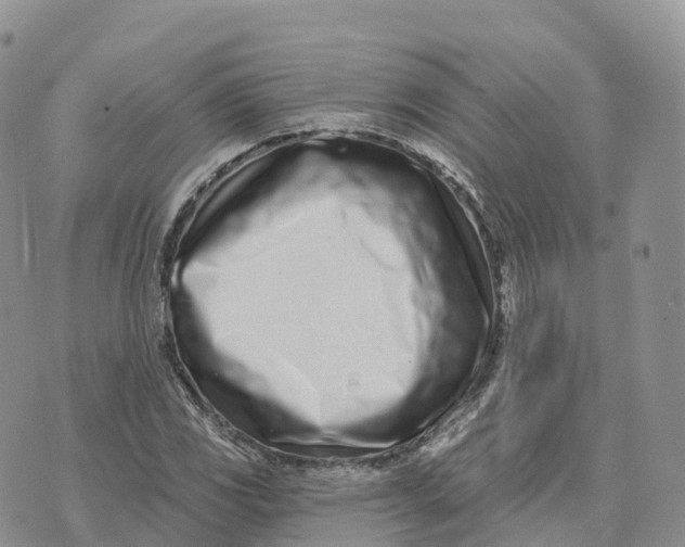 X0000072941117200608111553