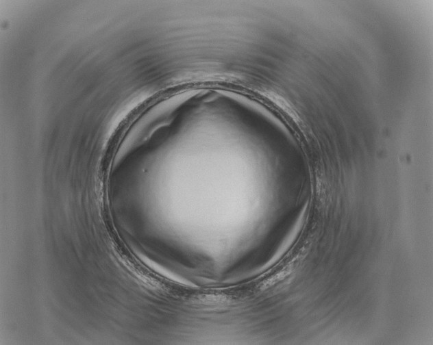 X0000072941119200608111553