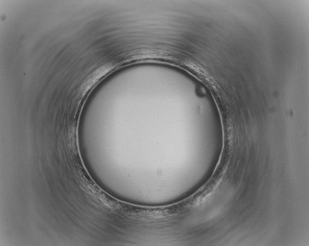 X0000072941121200608111553