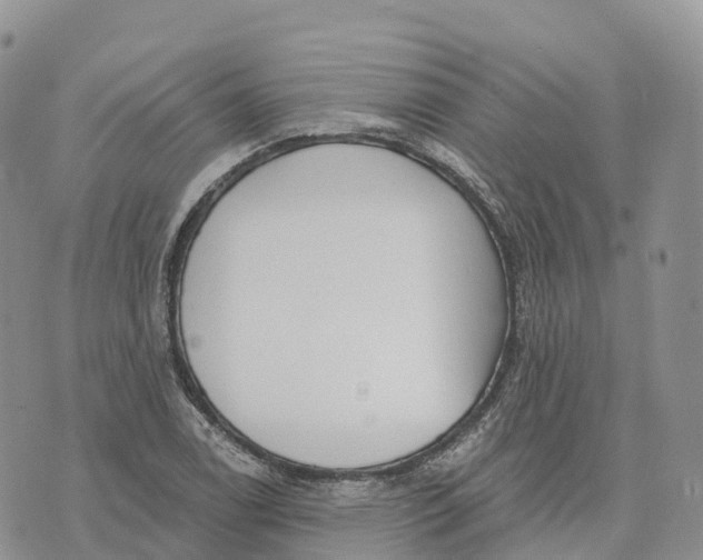 X0000072941122200608111553