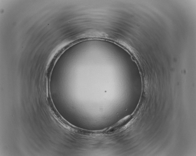 X0000072941123200608111553