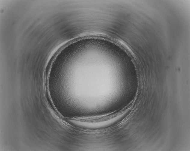 X0000072941124200608111553