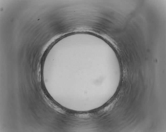 X0000072941126200608111553