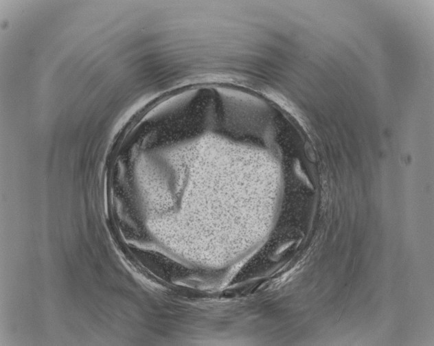 X0000072941127200608111554