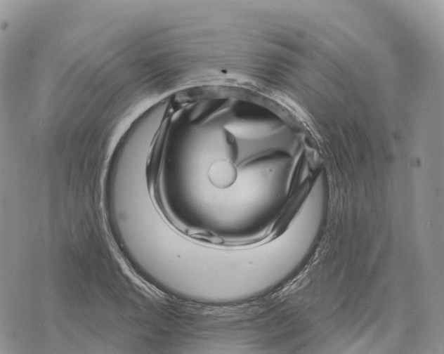 X0000072941128200608111554