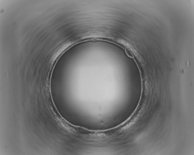 X0000072941129200608111554