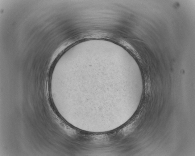 X0000072941130200608111554