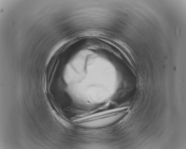 X0000072941131200608111554