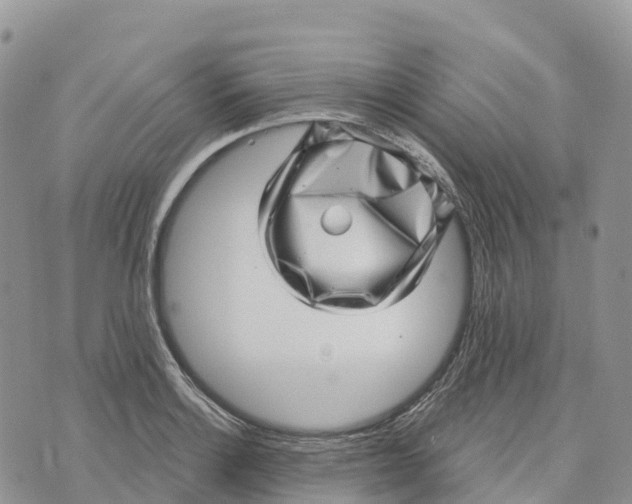 X0000072941132200608111554