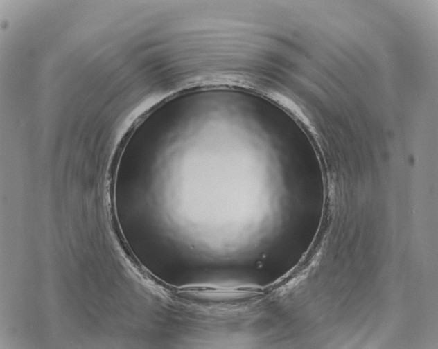 X0000072941133200608111554